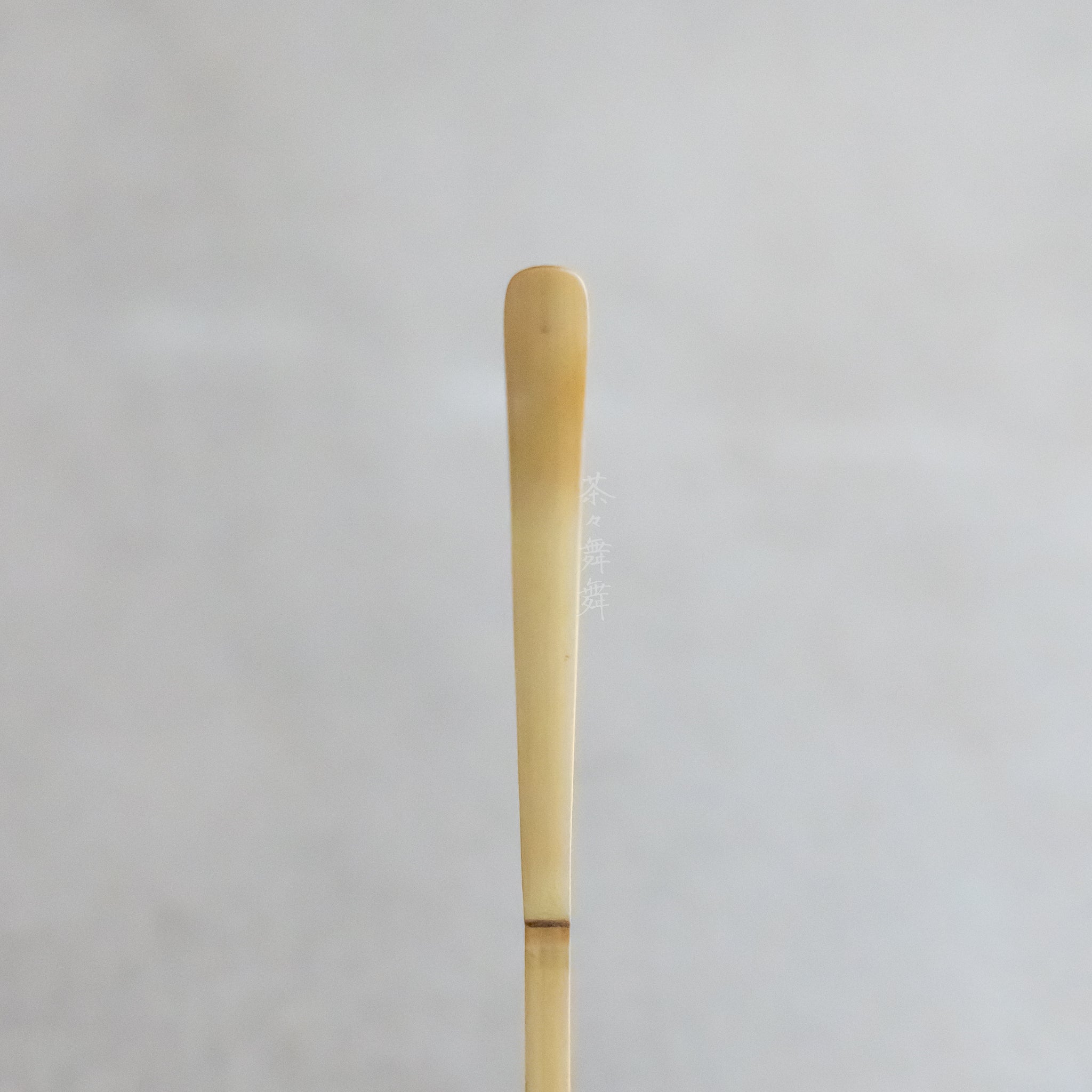 Handmade Chashaku (tea scoop) - Matsu Pine Tree