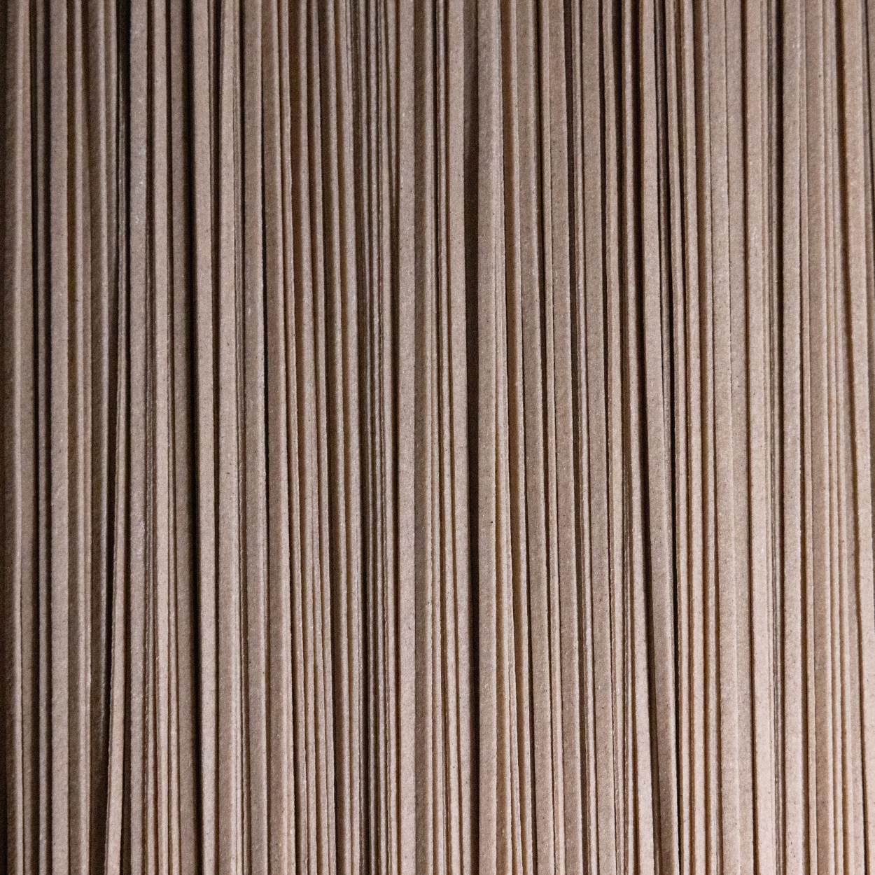 SANGAKU Soba Pasta Kit