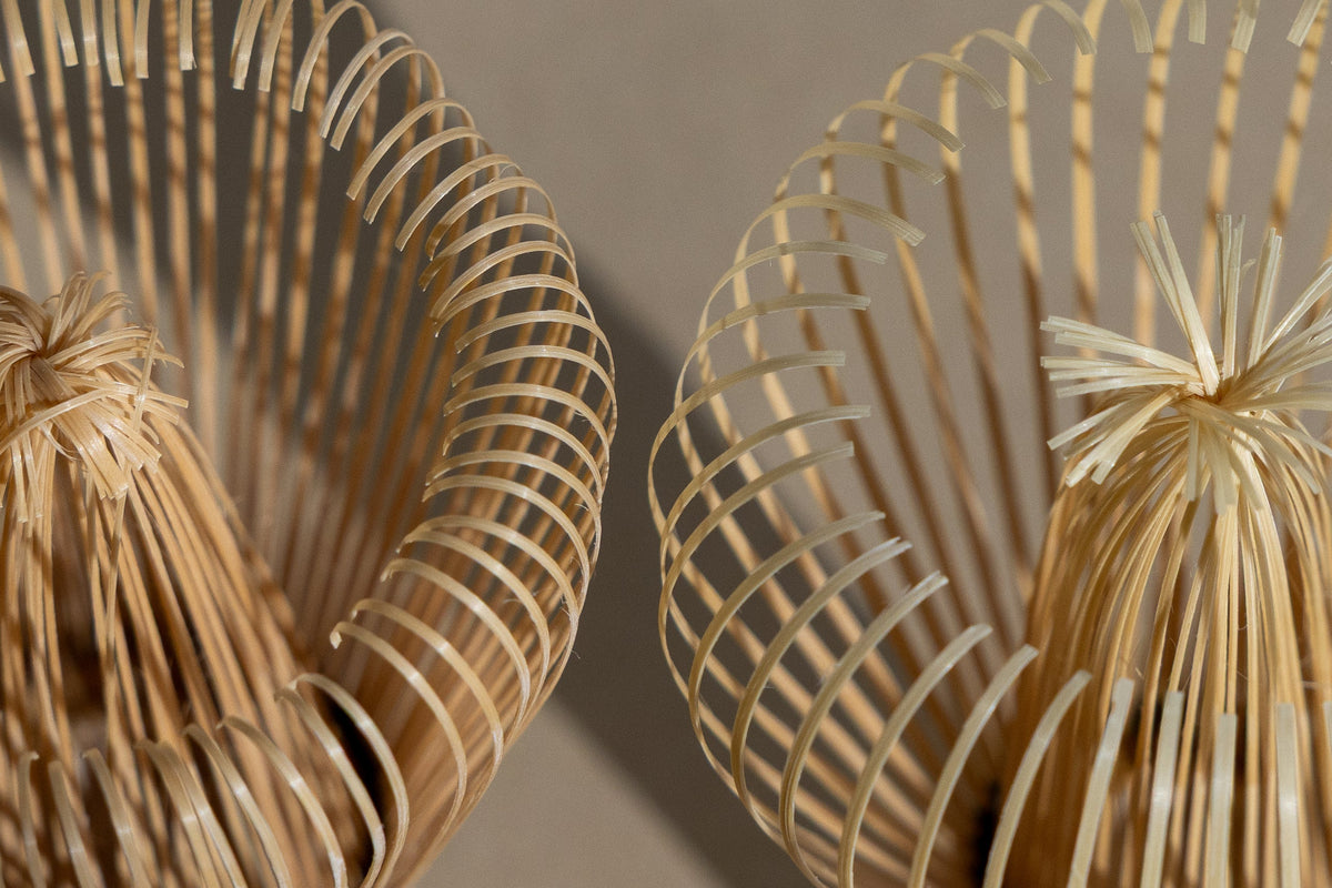 The World of Chasen (Bamboo Matcha Whisk) Part 1 - Written by tea ceremony teacher Miki Sensei