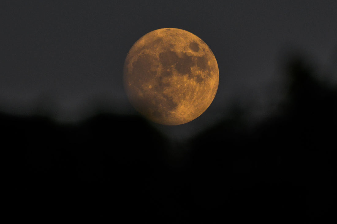 What The Moon Means To Us - Written by tea ceremony teacher Miki Sensei