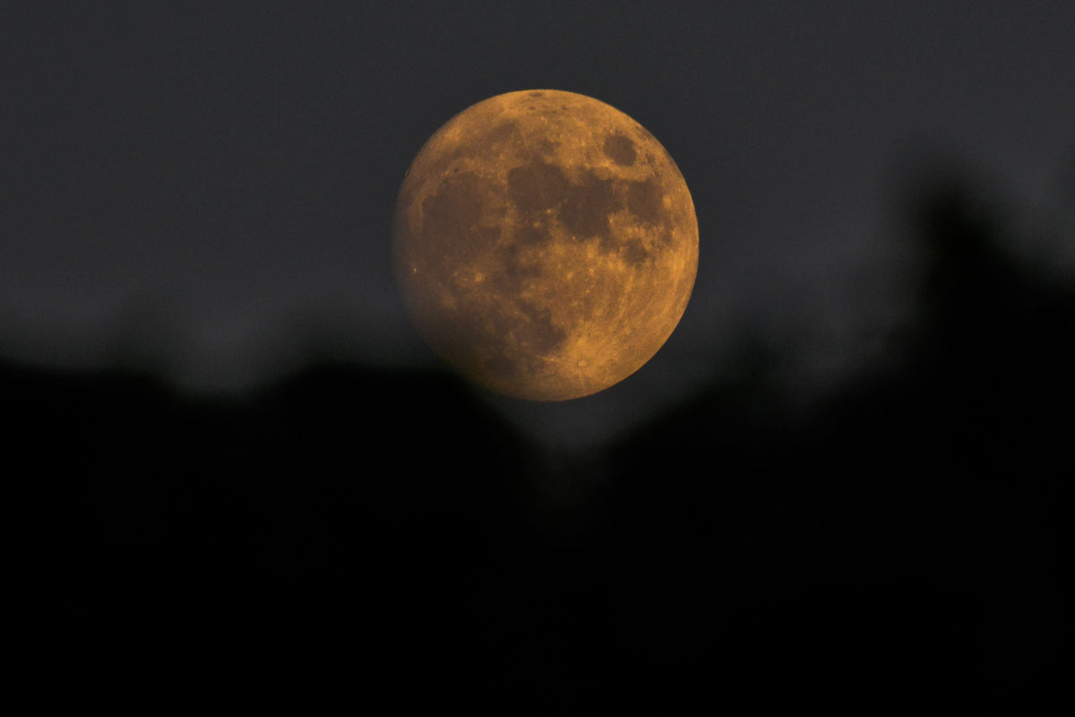 What The Moon Means To Us - Written by tea ceremony teacher Miki Sensei