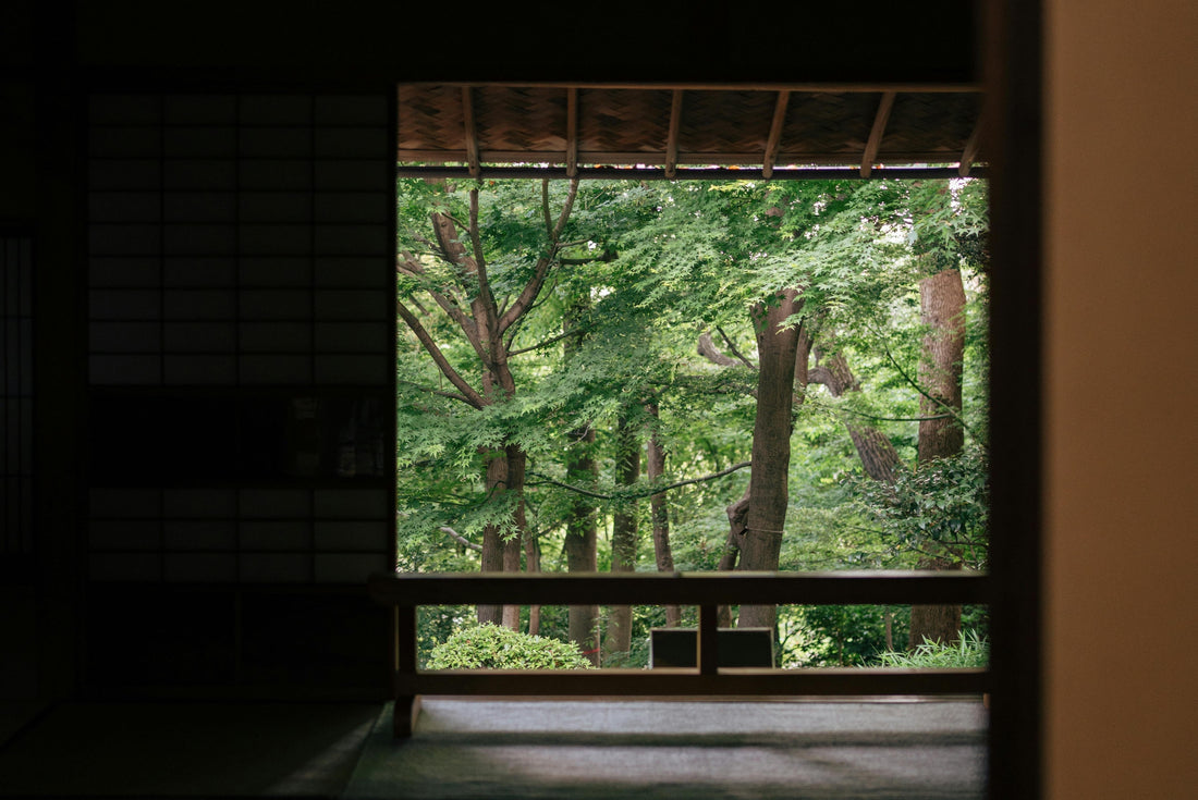 Beauty and Aesthetic Sensibility In The World of Tea - Explained by tea ceremony teacher Miki Sensei