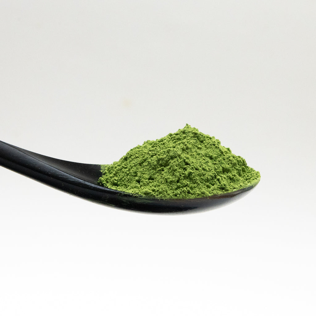 Premium Matcha TAIGA - Rich and Robust