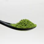 Matcha Powder MIDORI - Balanced and Vegetal