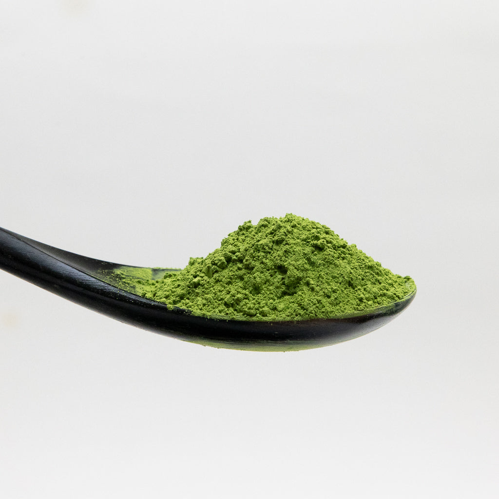 Matcha Powder MIDORI - Balanced and Vegetal