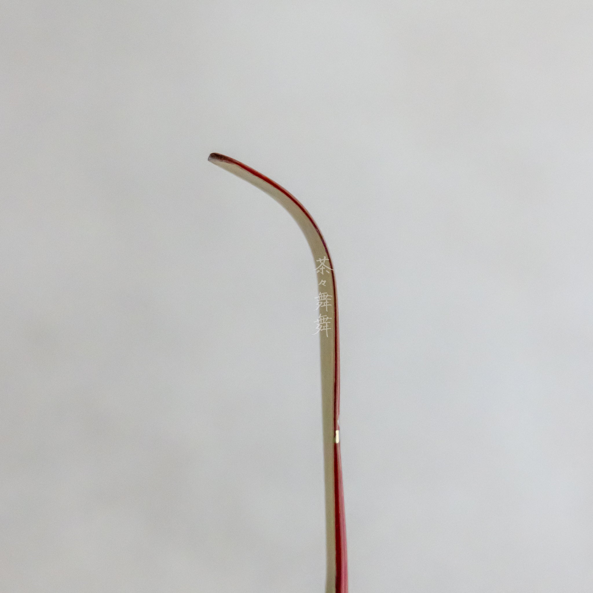 Handmade Chashaku (tea scoop) - Sakura Cherry Blossom