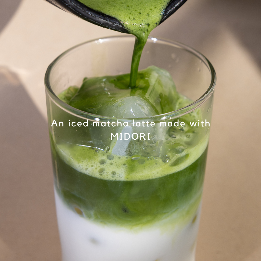 Matcha Powder MIDORI - Balanced and Vegetal