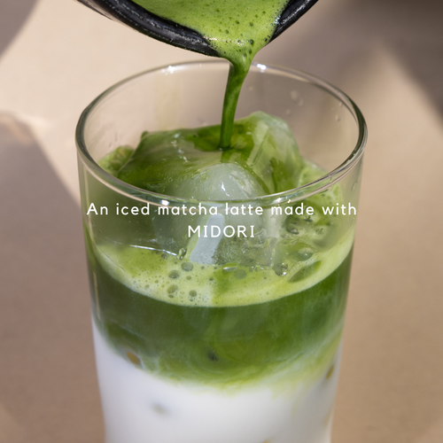 Classic Matcha MIDORI - Balanced and Vegetal