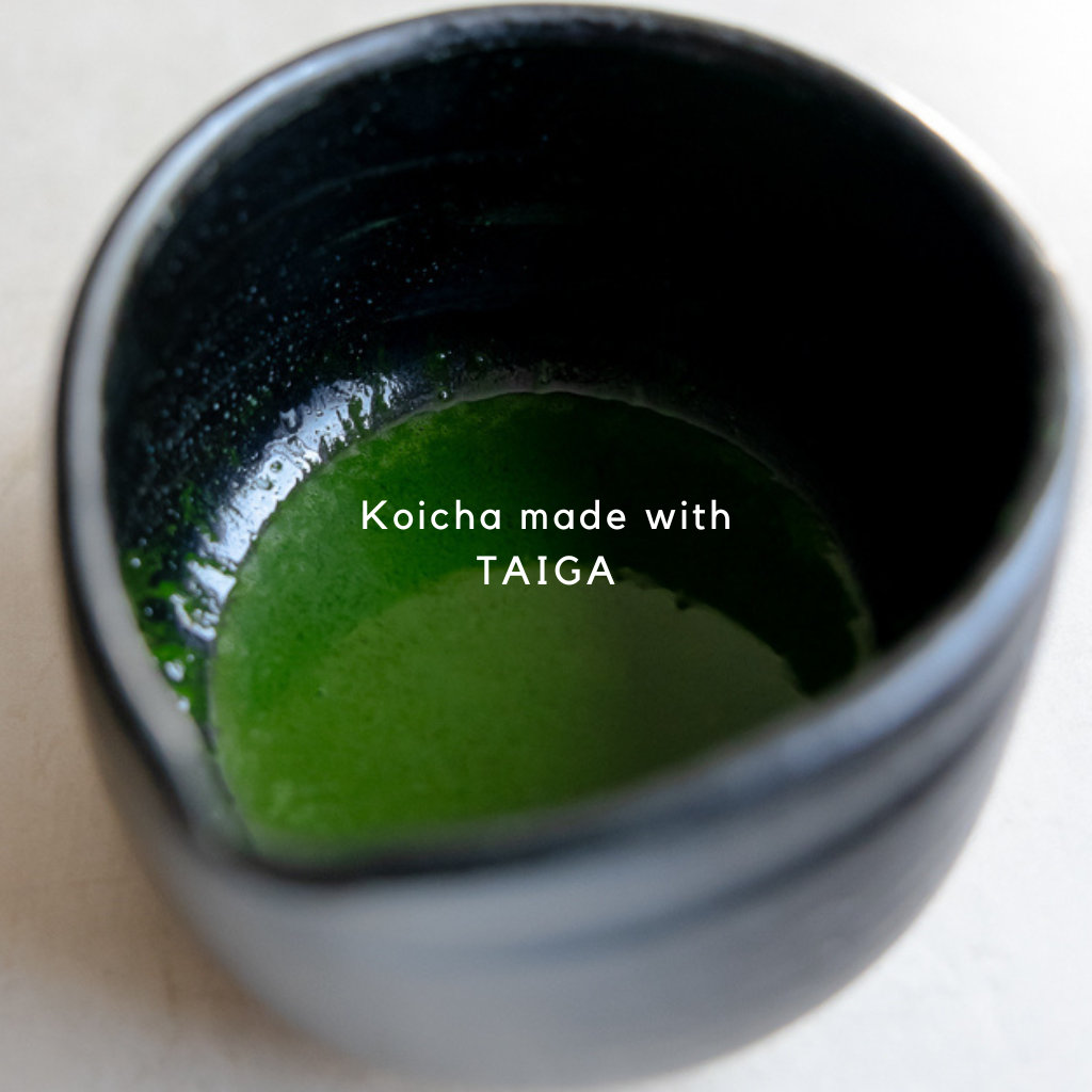 Premium Matcha TAIGA - Rich and Robust