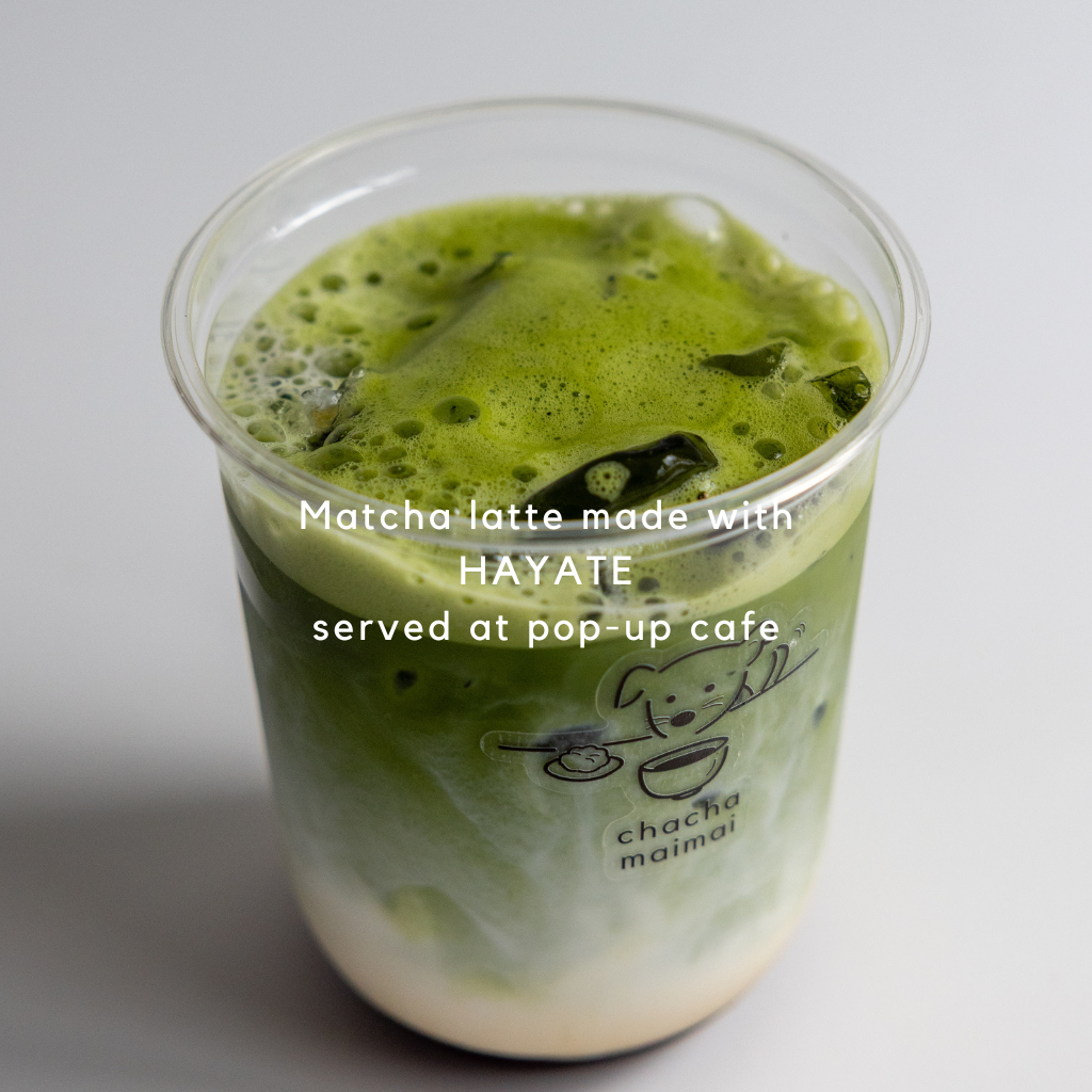 Matcha Latte Gift Set