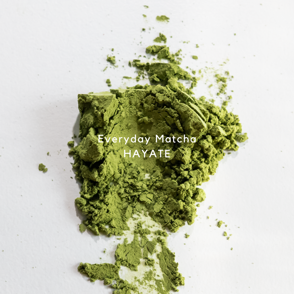 Everyday Matcha HAYATE